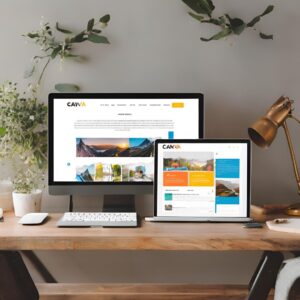 professional website